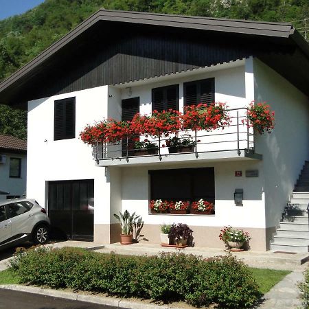 Apartma Jezero Most na Soči Eksteriør billede